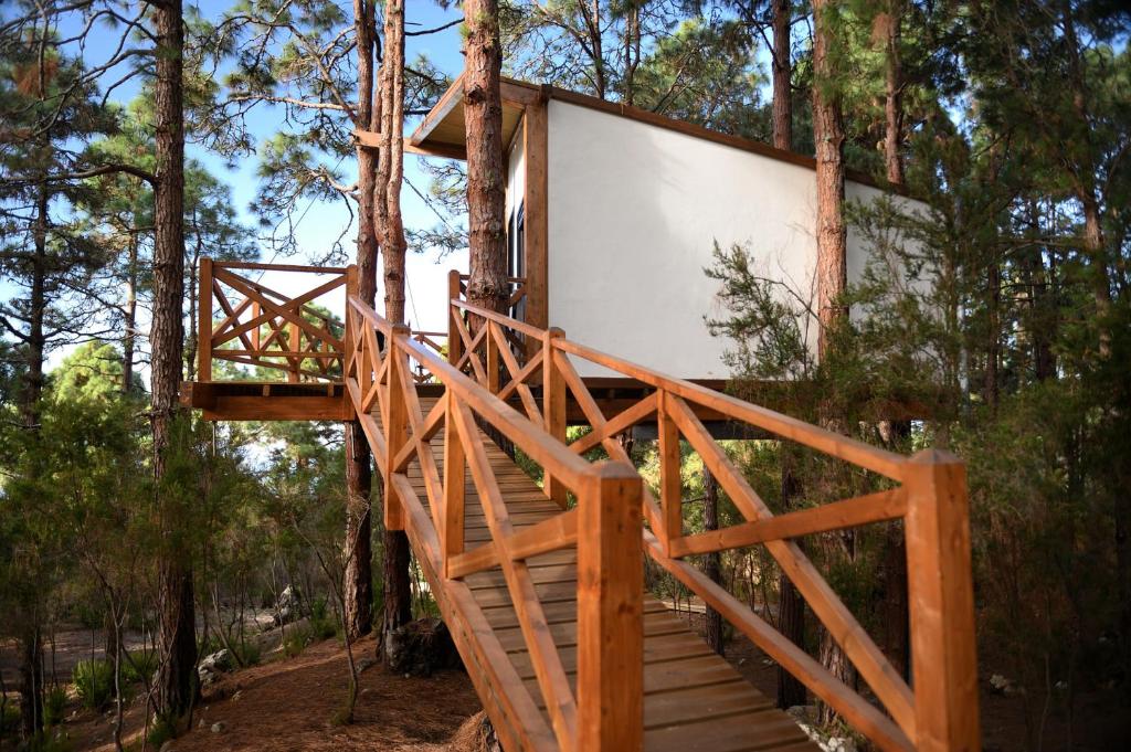 Casita colgada "Can Lia" photo 4