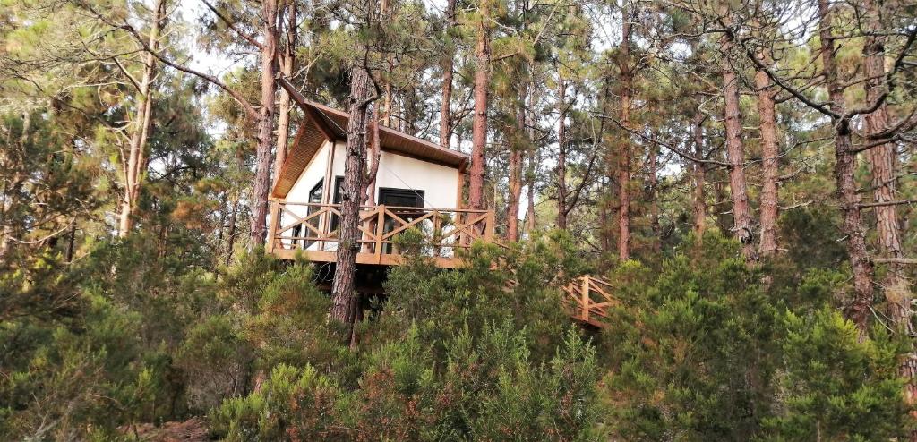 Casita colgada "Can Lia" photo 1