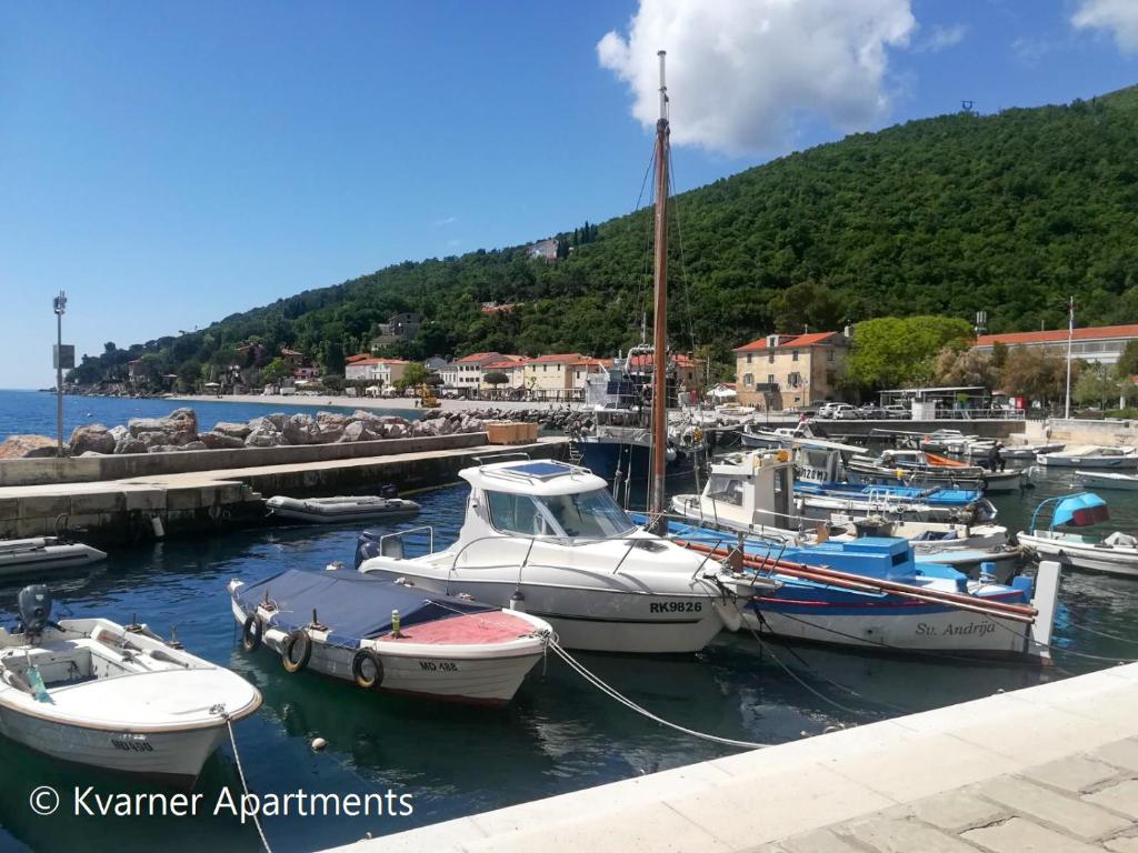 Kvarner Apartments II - Mošćenička Draga photo 4