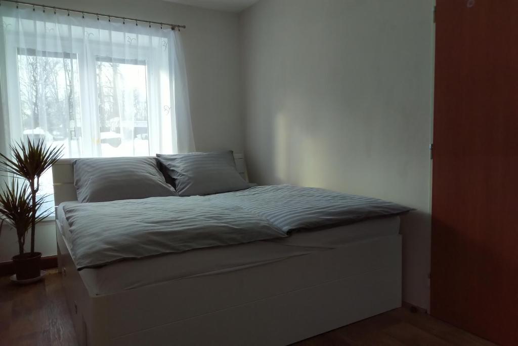 Apartmán Pod Říčkami photo 2