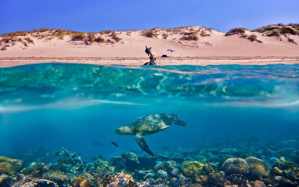 Tortuga Dafni Bay Villas Diver's Paradise