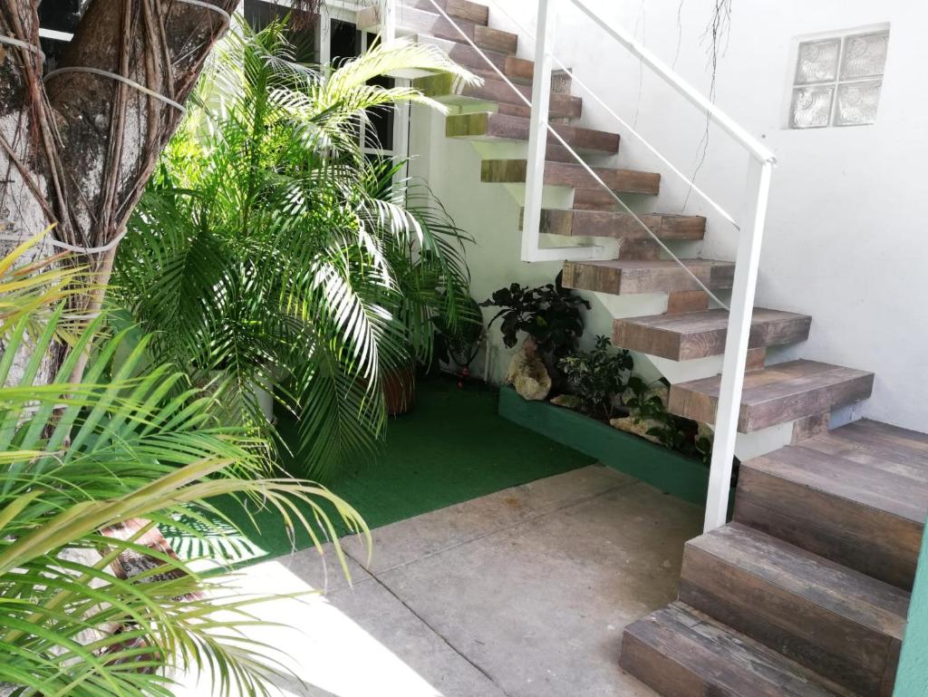 Quetzal Loft photo 2