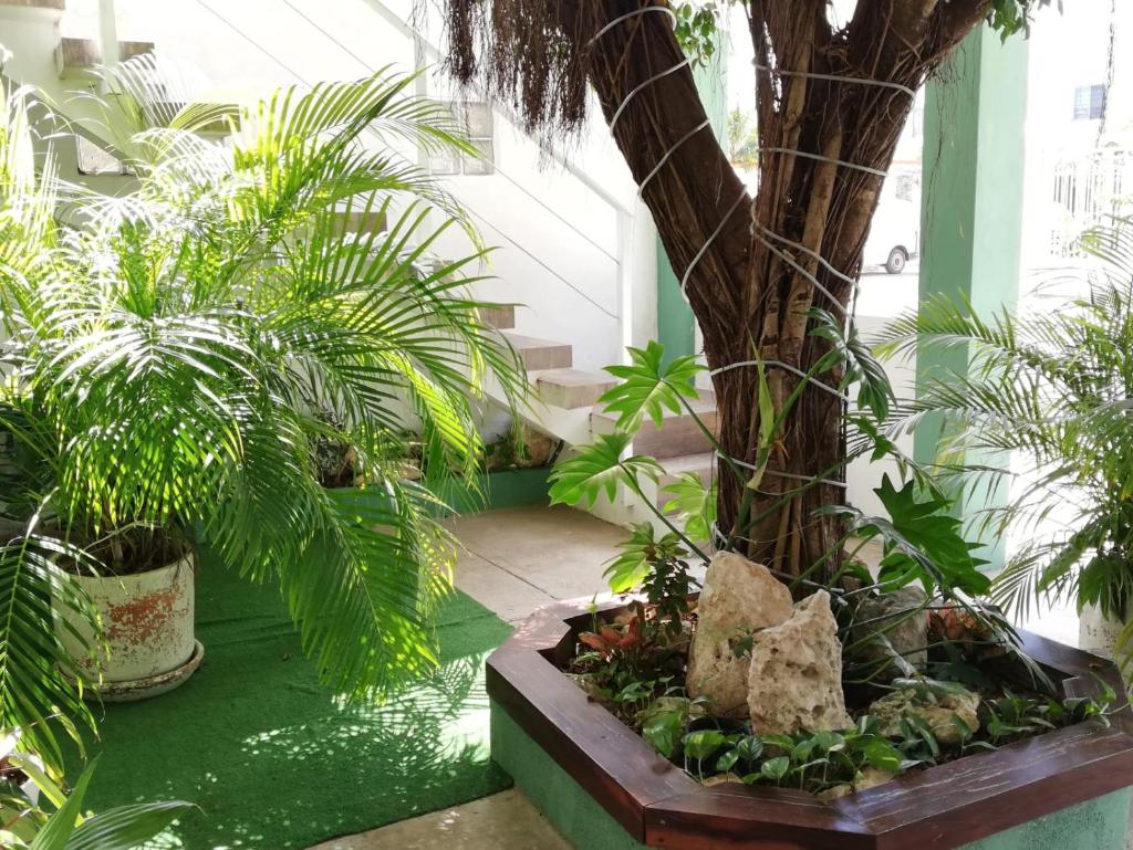 Quetzal Loft photo 1