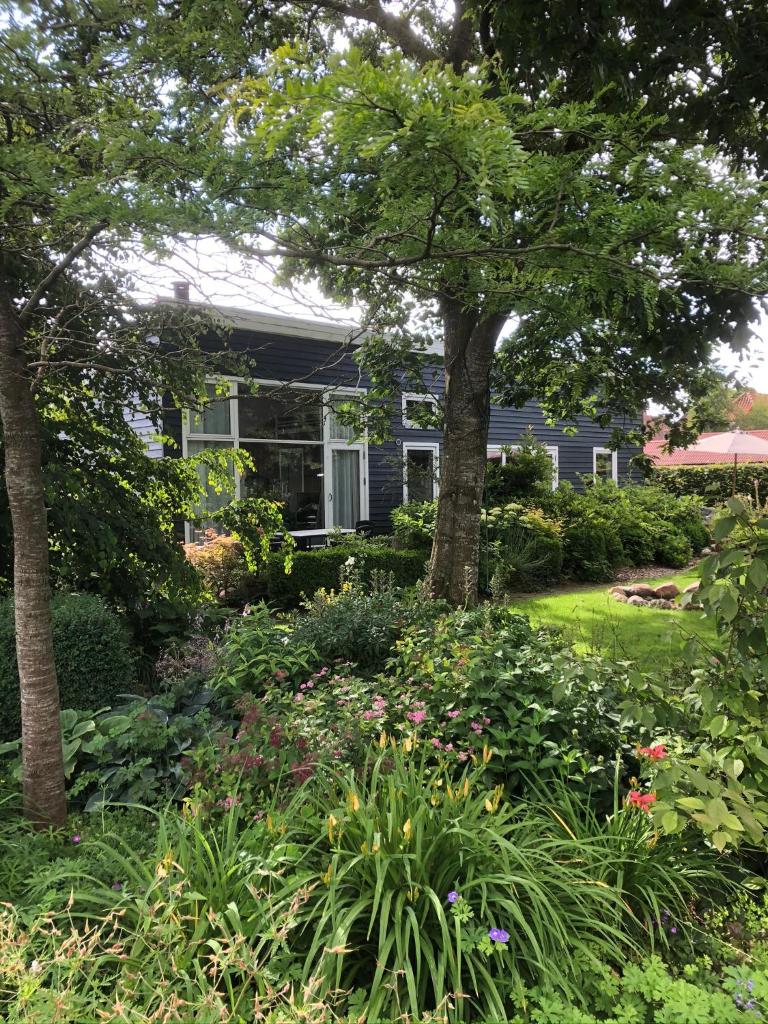 Fly B&B photo 4