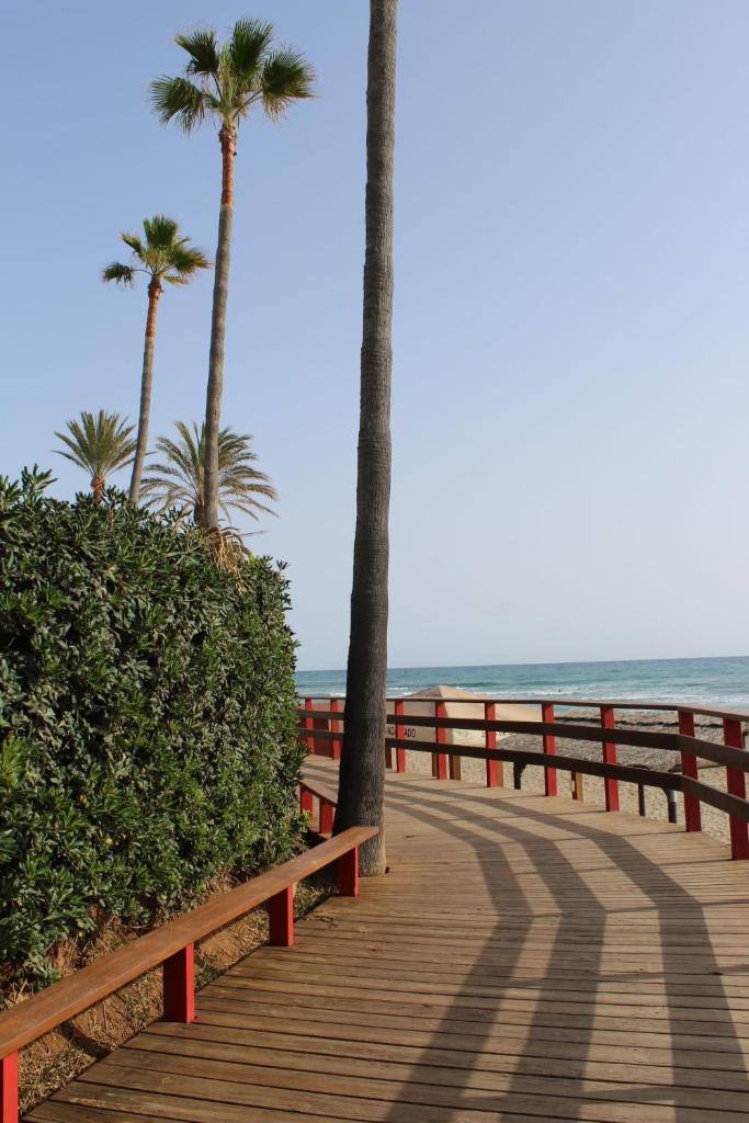 BEACH FOREST PARADISE photo 4
