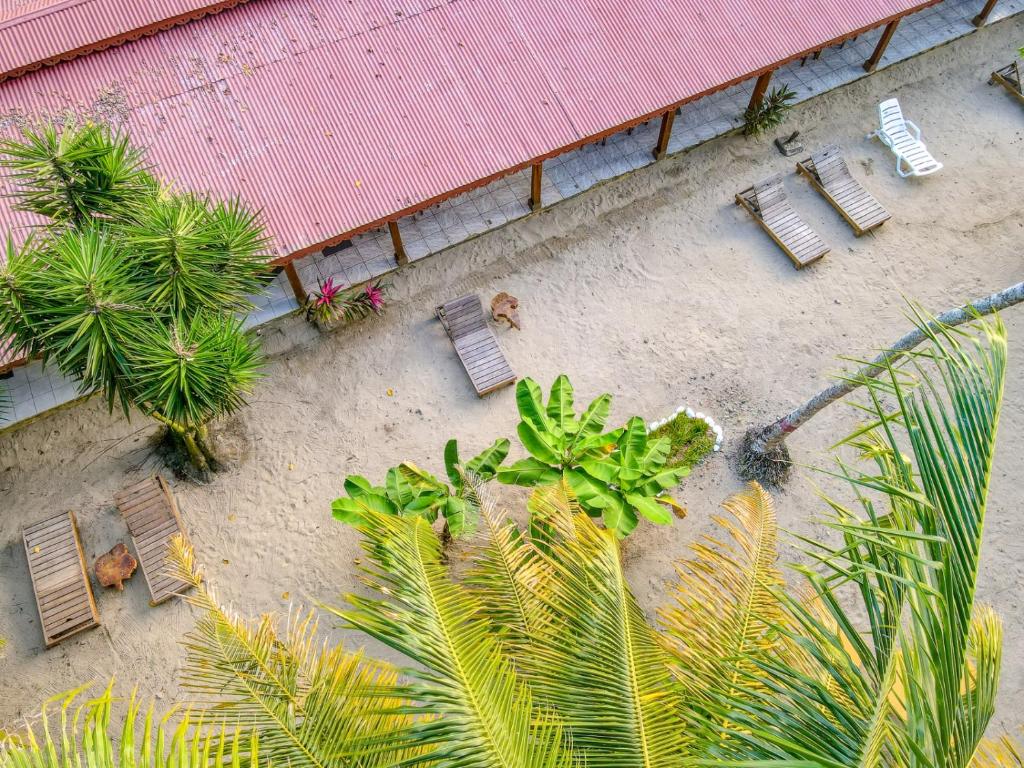 Yucca Beachfront Hotel photo 1