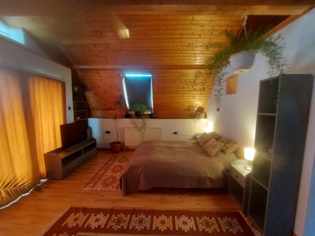 Attila-Apartman Budaörs photo 2