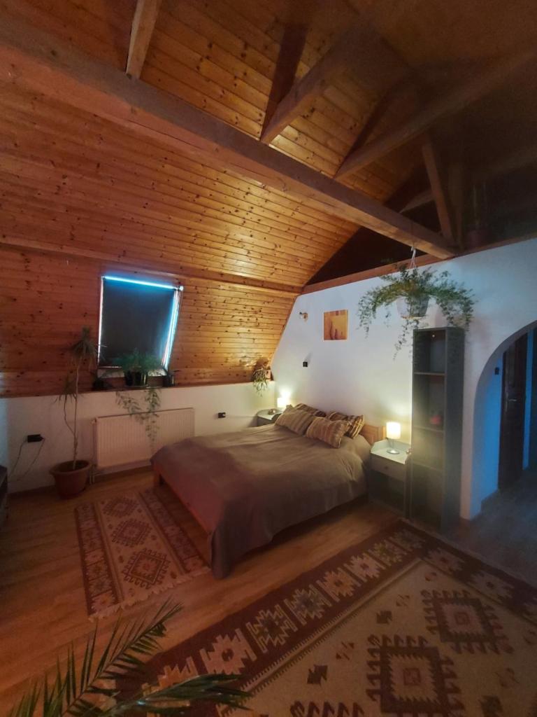 Attila-Apartman Budaörs photo 3
