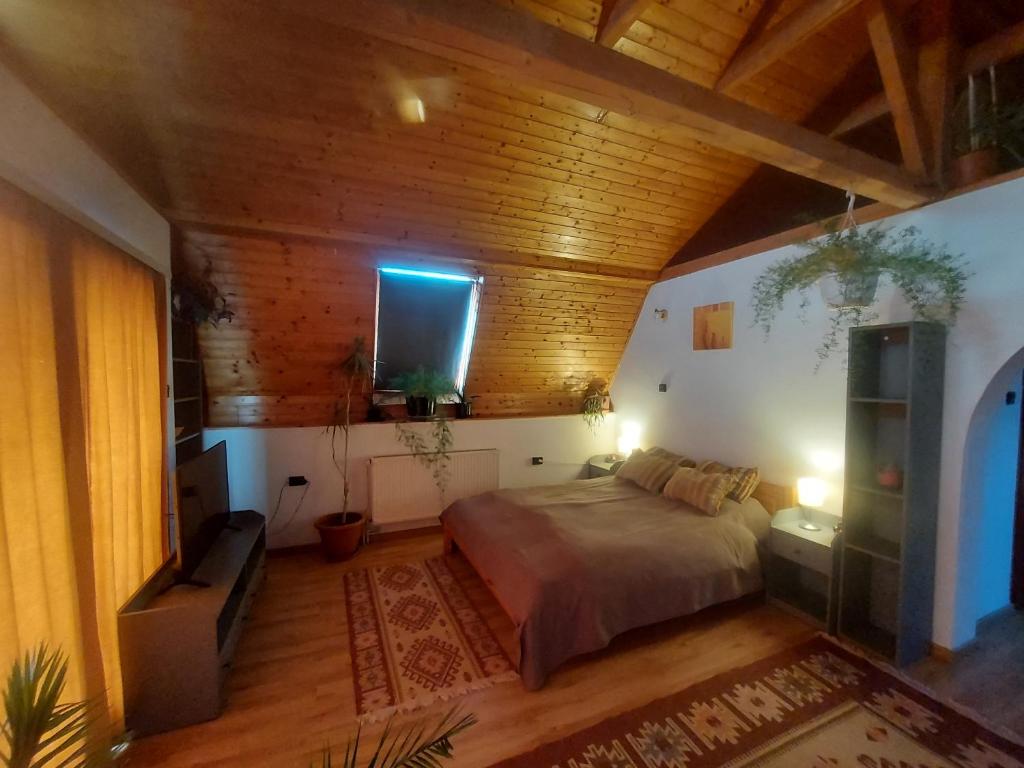 Attila-Apartman Budaörs photo 4