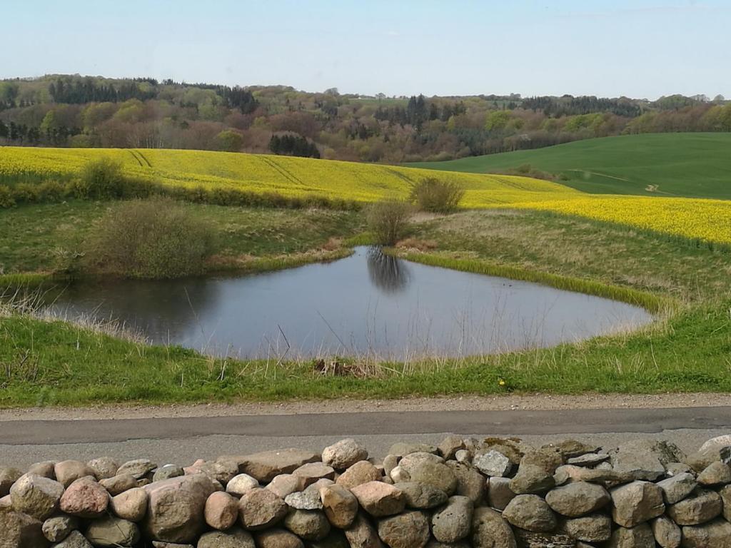 Bøgehus photo 1