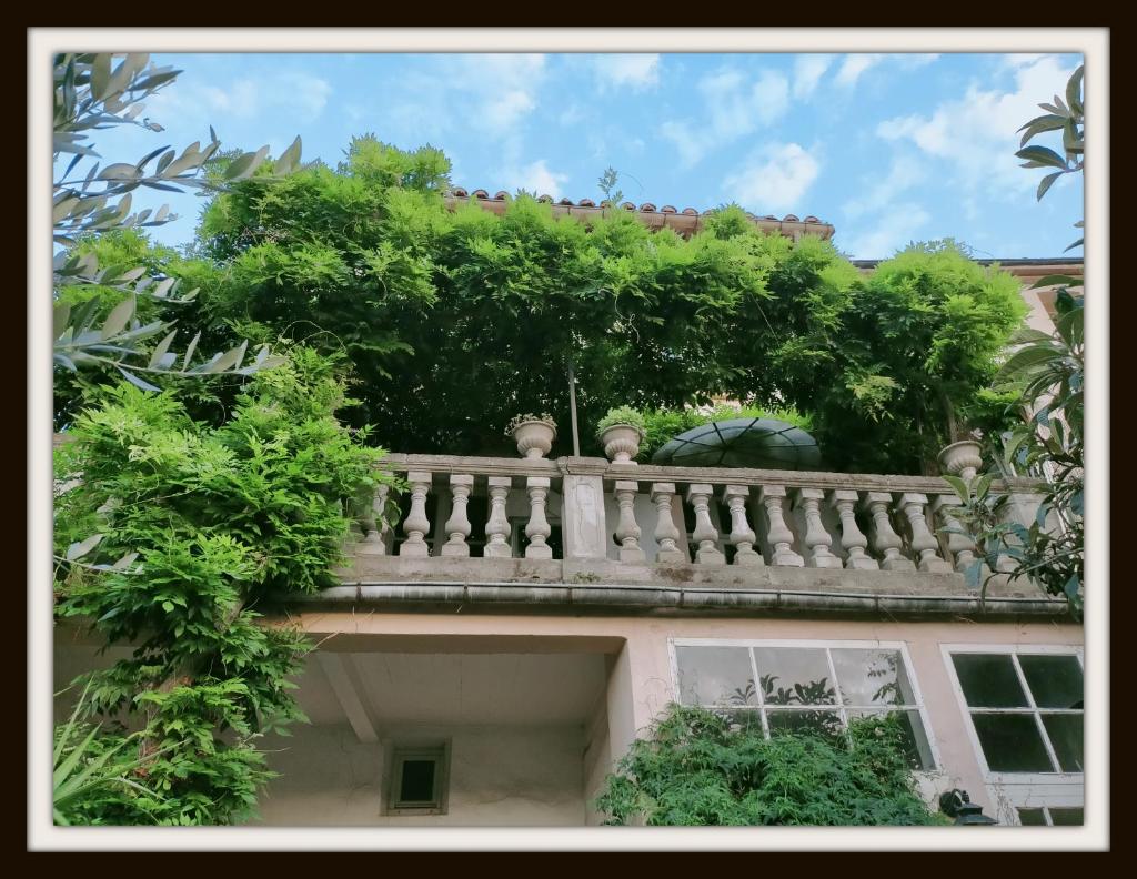 La Belle dAme photo 4