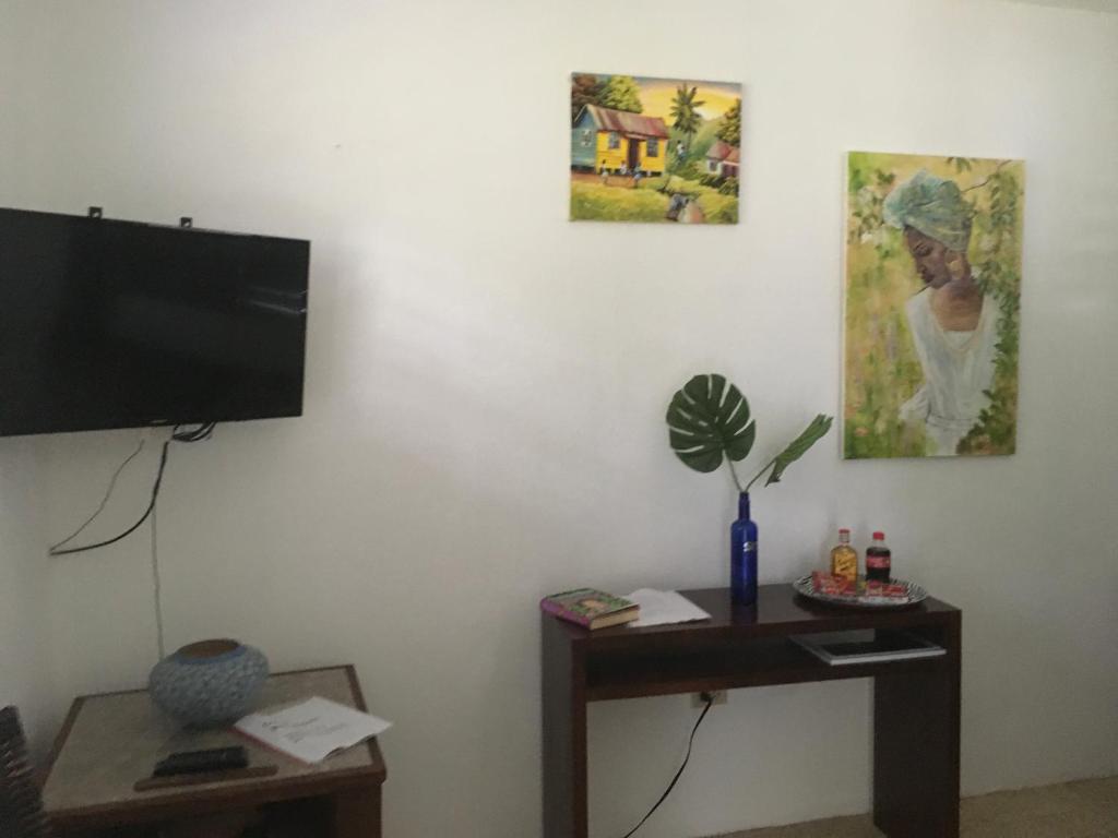 Garden Apartment-5min Drive to Beaches, 1 hour Montego Bay, 25 mins Ocho Rios photo 1