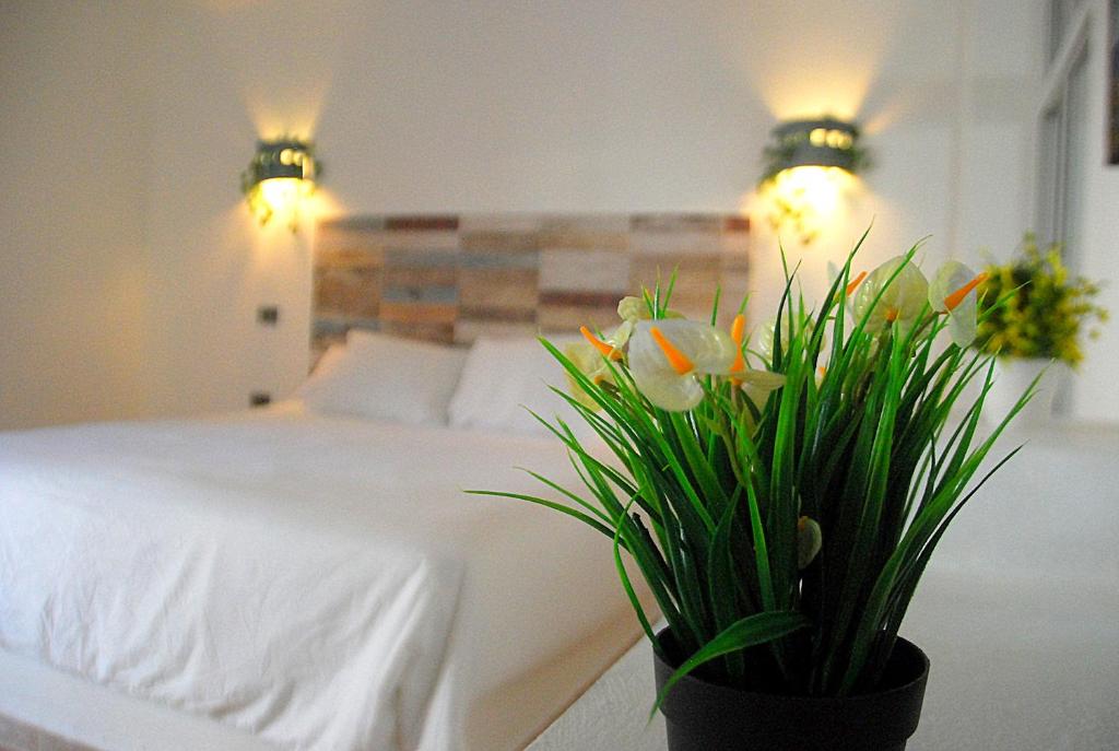 Nuovo Hotel Playa Catalina photo 4