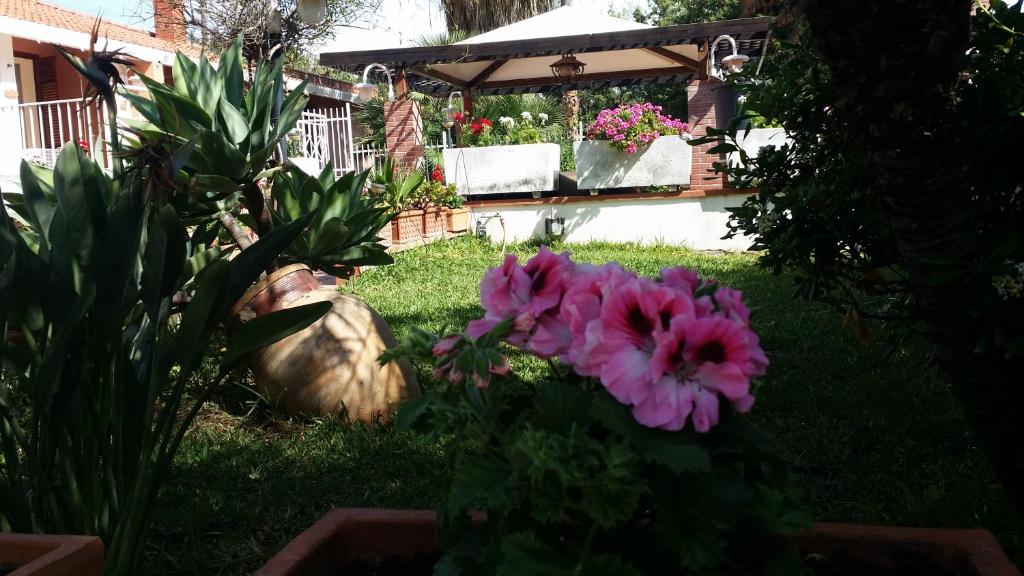 A Real Oasis In The City,