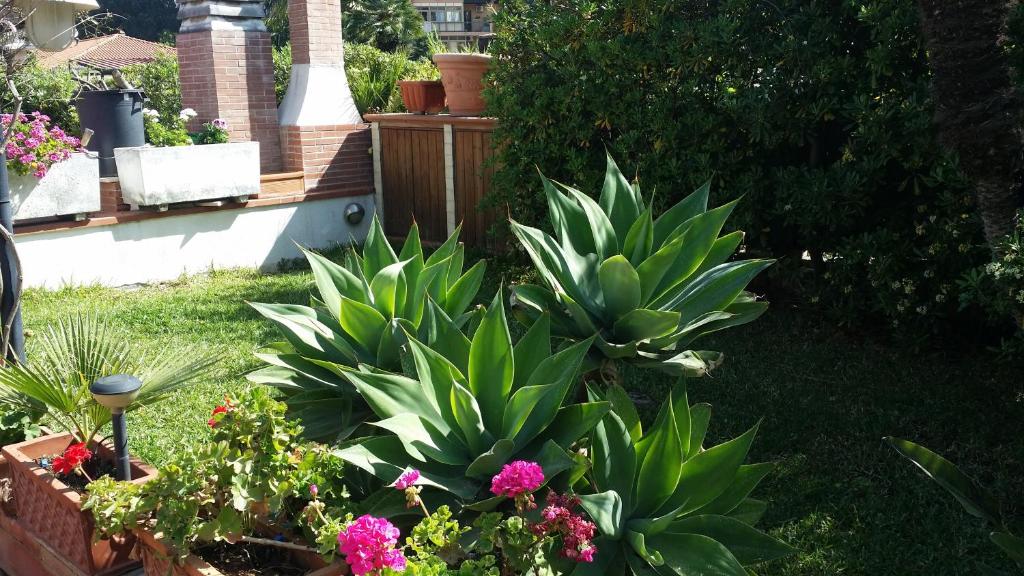A Real Oasis In The City, photo 2