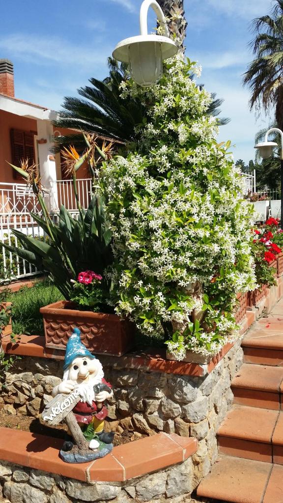 A Real Oasis In The City, photo 4
