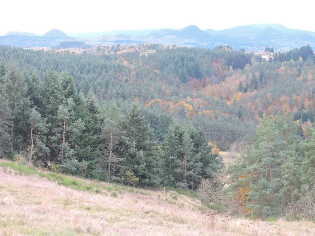 La sérénité photo 4