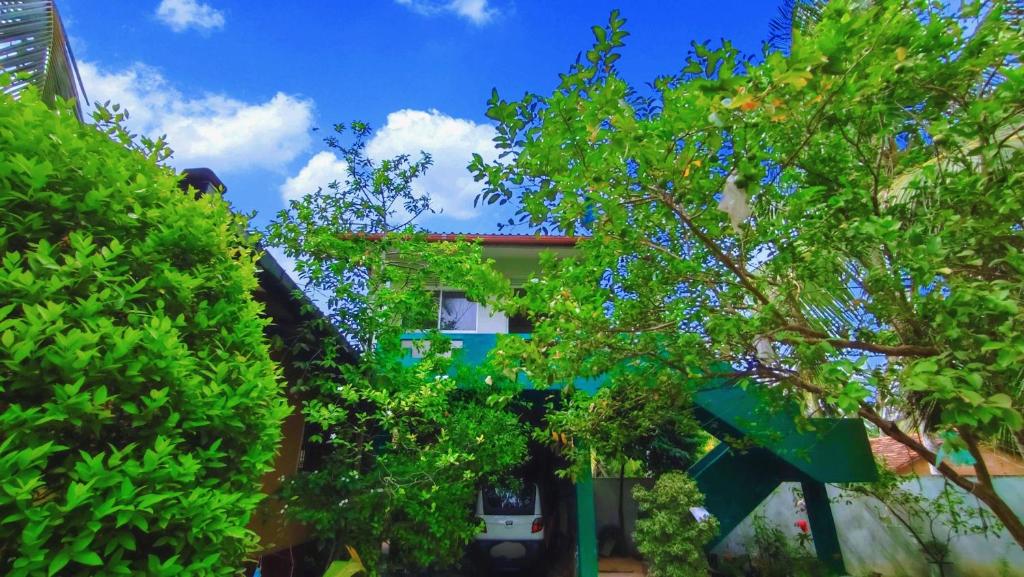 Villa Dragon House photo 2