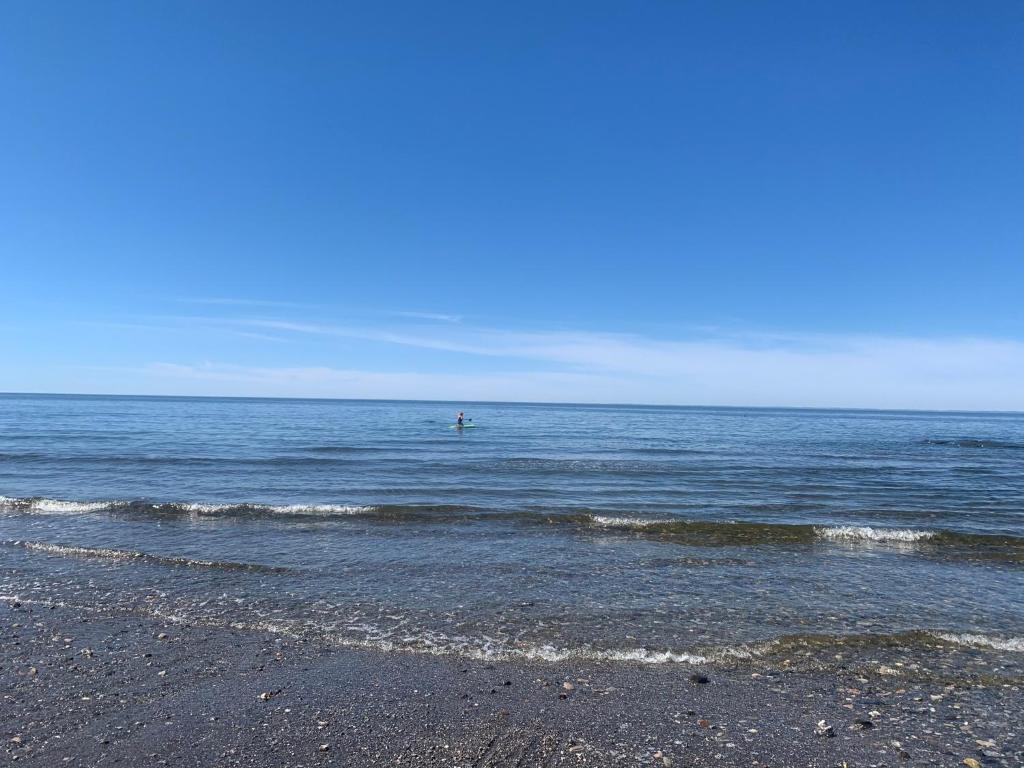 Les studios de la mer photo 1