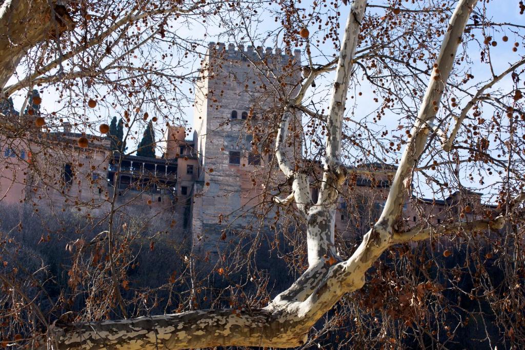 Embrujo de Granada - Free Parking - Paseo de los Tristes - Wifi photo 2