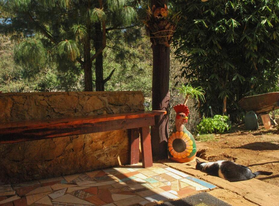 Hostal Casa 4 Estaciones, CoLiving & Nature photo 3