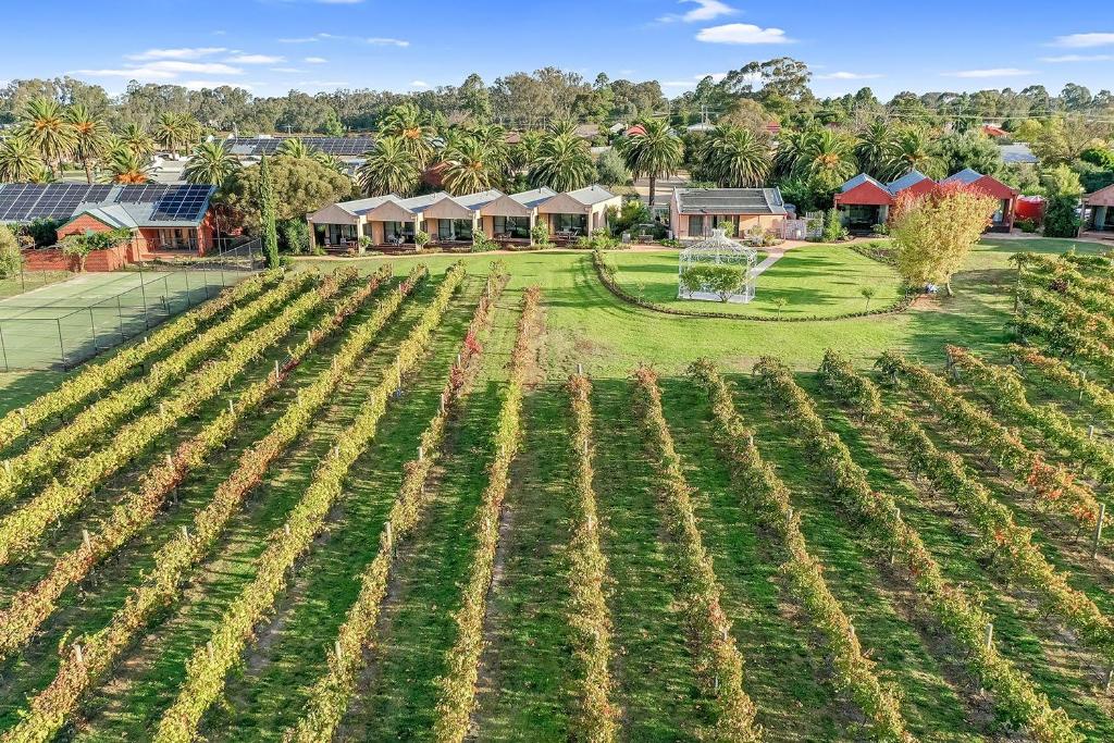 Tuileries at De Bortoli Rutherglen photo 1