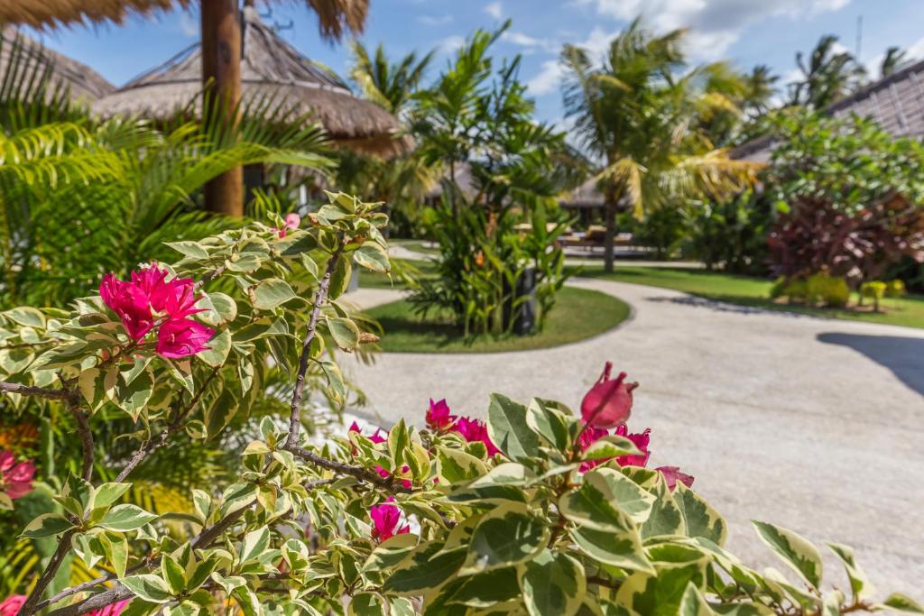 Emocean Beach Boutique Resort - Tap to explore photos