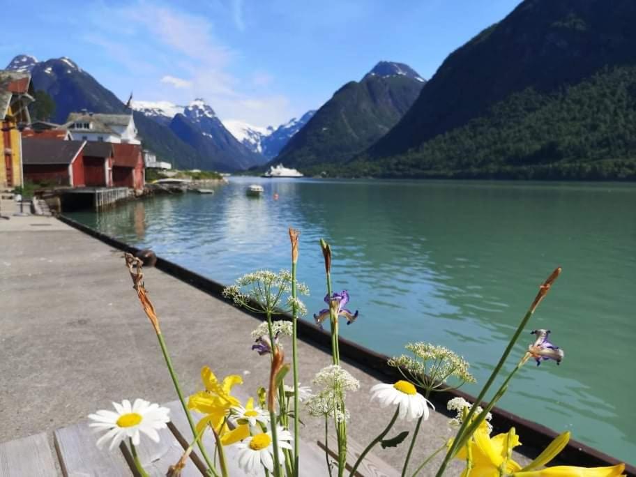 Sogndal ski- and mountain cabin photo 3