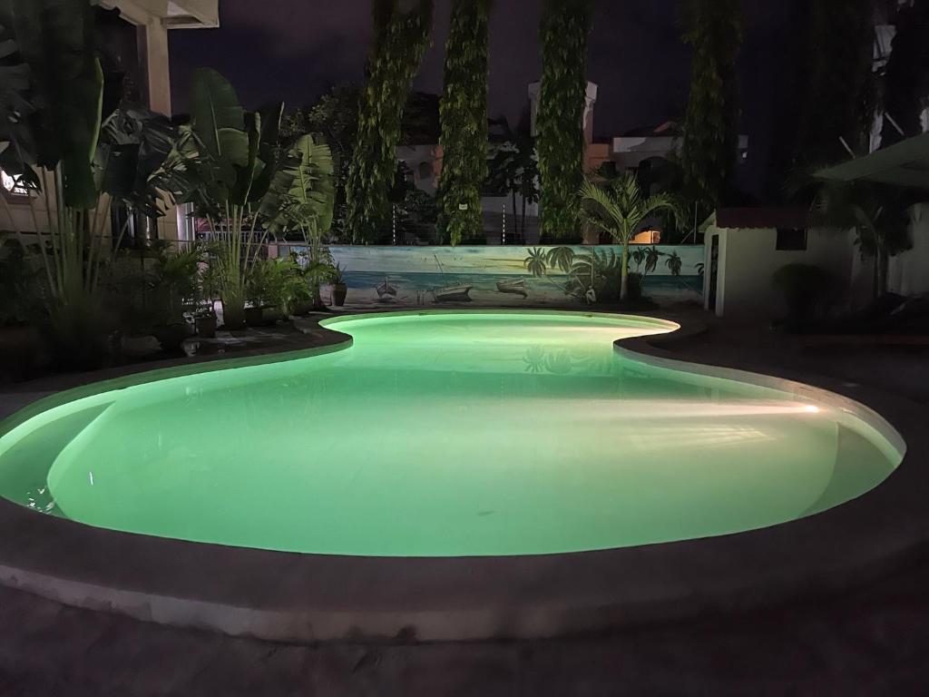 Mudzini gardens - Luxury villa with a pool photo 2