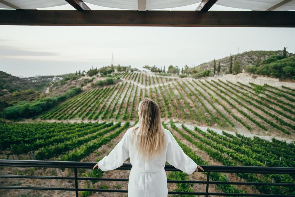 Gillham Vineyard Hotel photo 2