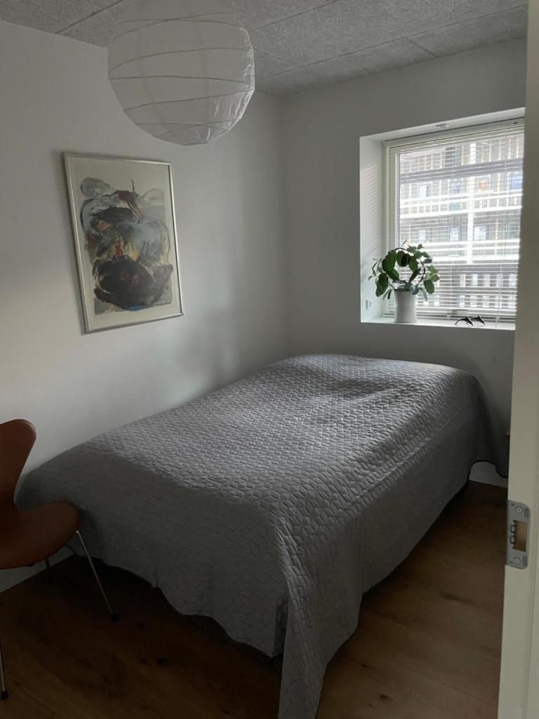 Nice modern apartment photo 2