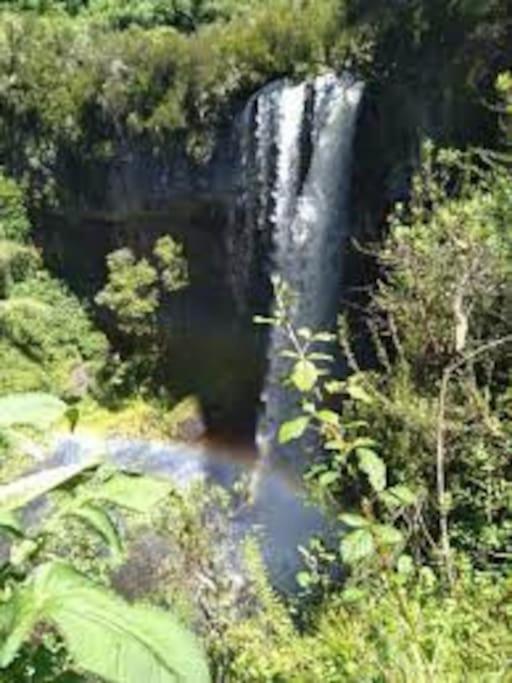 Maverick Camp, Rondavels and Homestay photo 4
