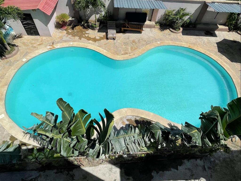 Mudzini gardens - Luxury villa with a pool photo 3