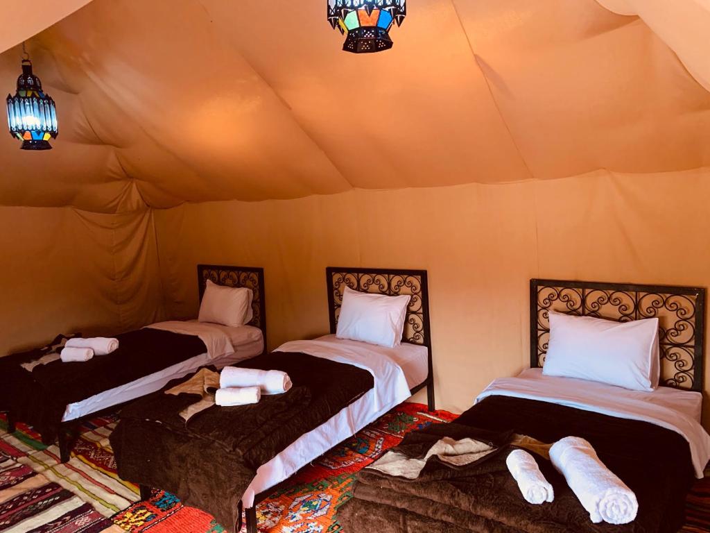 Sahara wellness camp photo 3