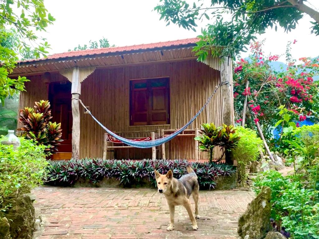 Lan Homestay