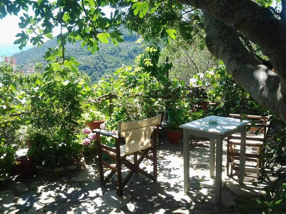 Villa Panayiota photo 3