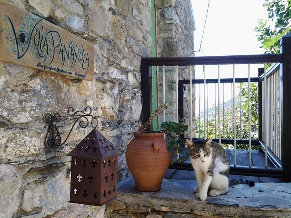Villa Panayiota photo 4