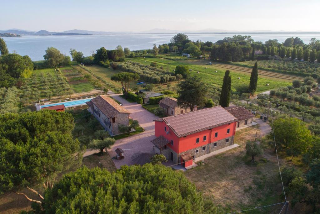 Lagolivo photo 2