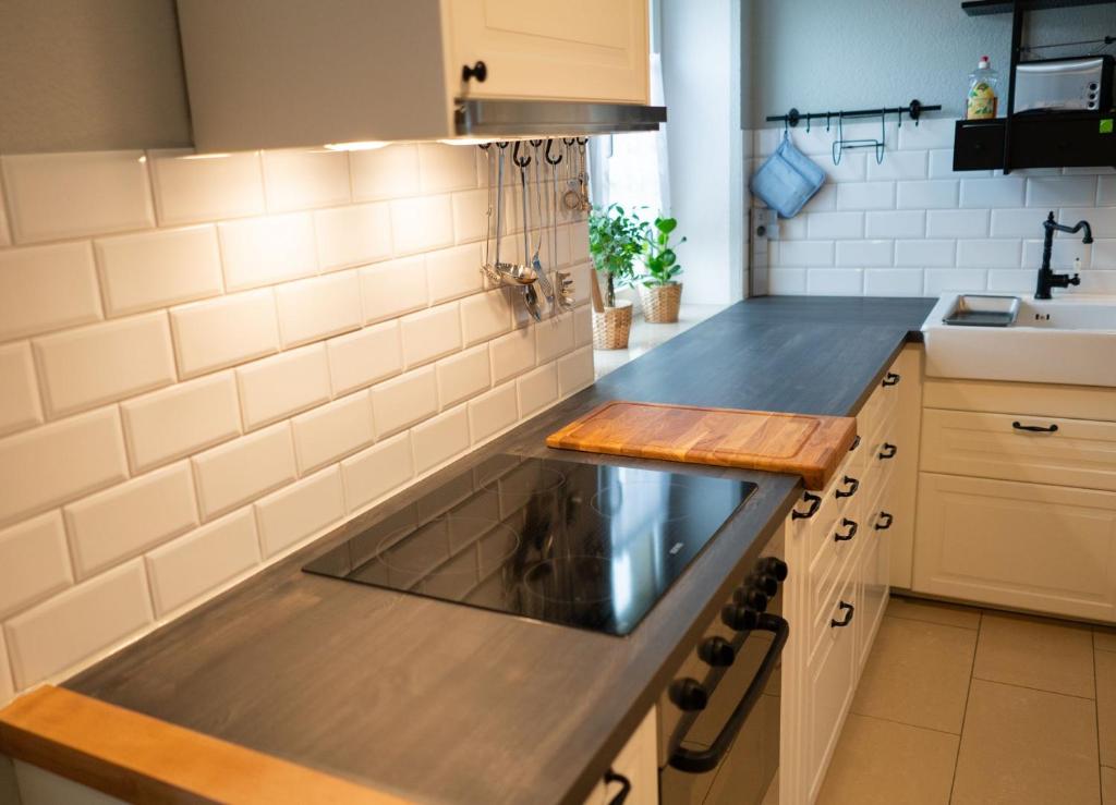 Elbtal-Apartment photo 2