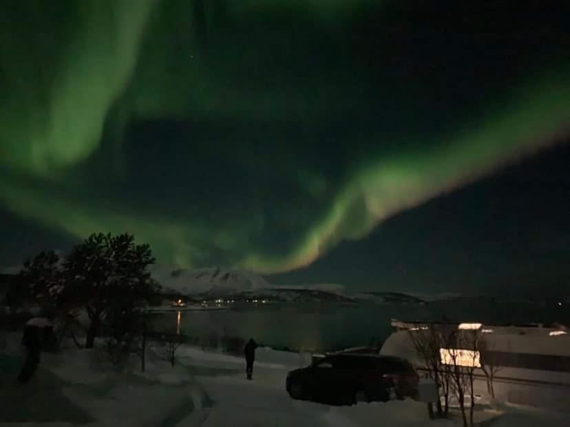 Finnvikhaugen Rooms photo 3