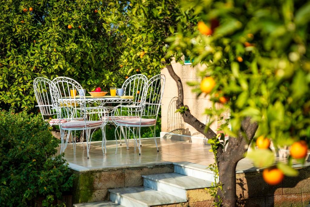 The Tower with the Orange tree garden photo 2