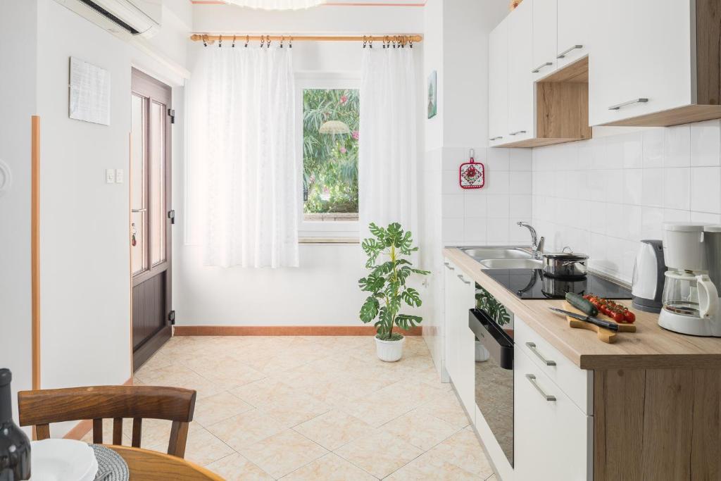 Apartments Marcan photo 4