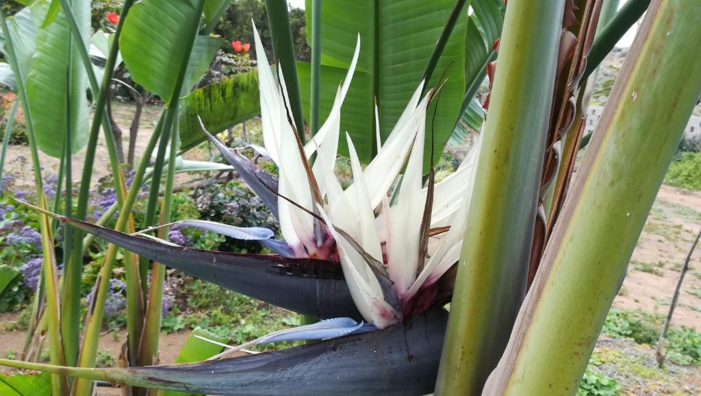 Finca La Punta photo 4