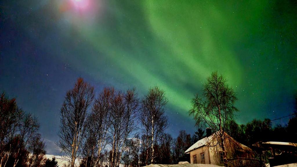 Cabin magic on Senja, atmosphere like a fairytale photo 1