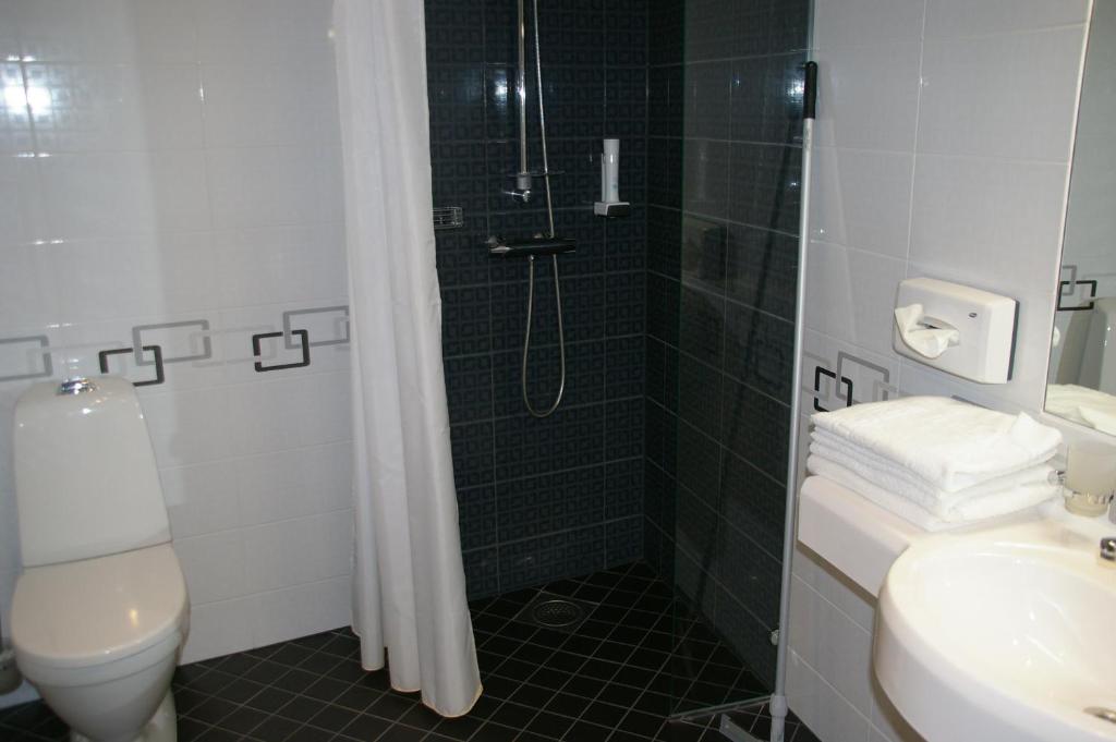 Одноместный (Одноместный номер), Tehvandi Hotell