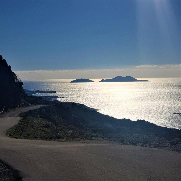 VILLA CHRYSI photo 3