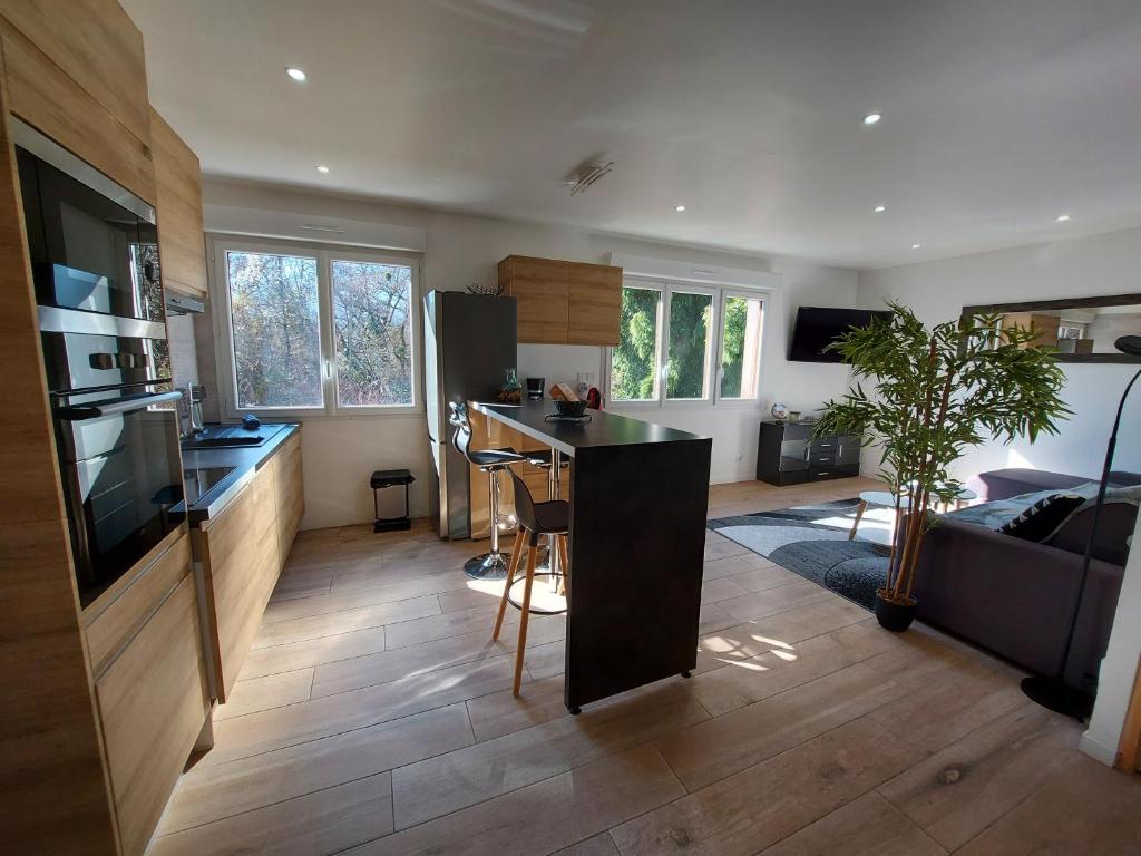 Superbe appartement au centre de St Jorioz photo 2