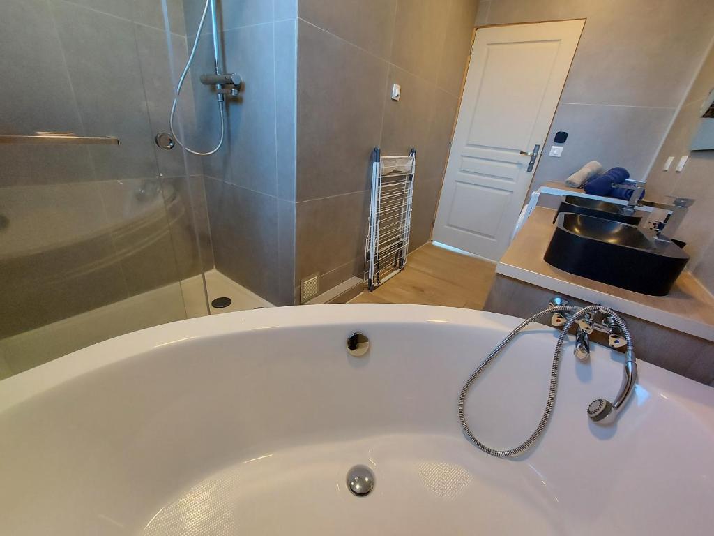 Superbe appartement au centre de St Jorioz photo 3