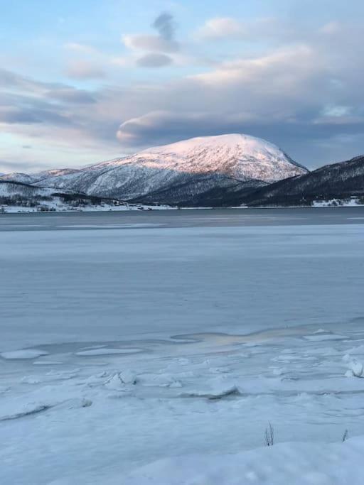 Trivelig fritidshus på Årnes, Senja photo 2