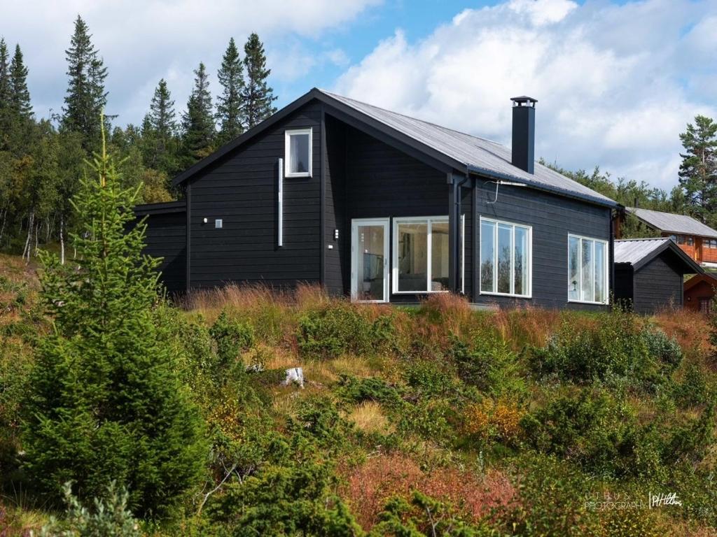 Skarvebo - cabin with amazing view photo 2